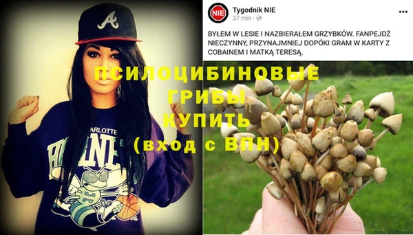дурь Алексин
