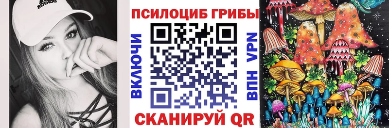 как найти   Невьянск  Псилоцибиновые грибы Psilocybine cubensis 